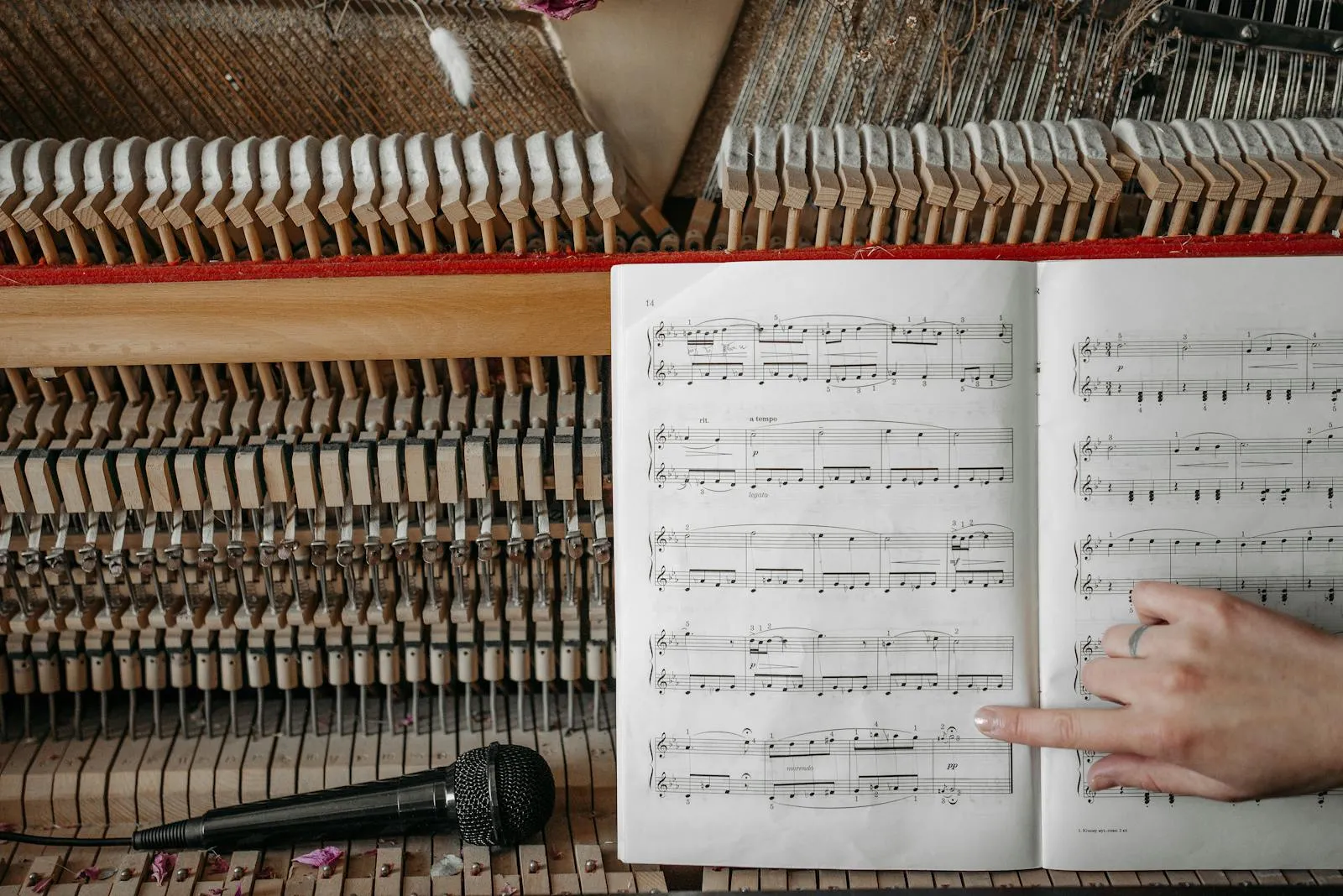 Cours de piano à Valleiry : tout savoir avant de s'inscrire