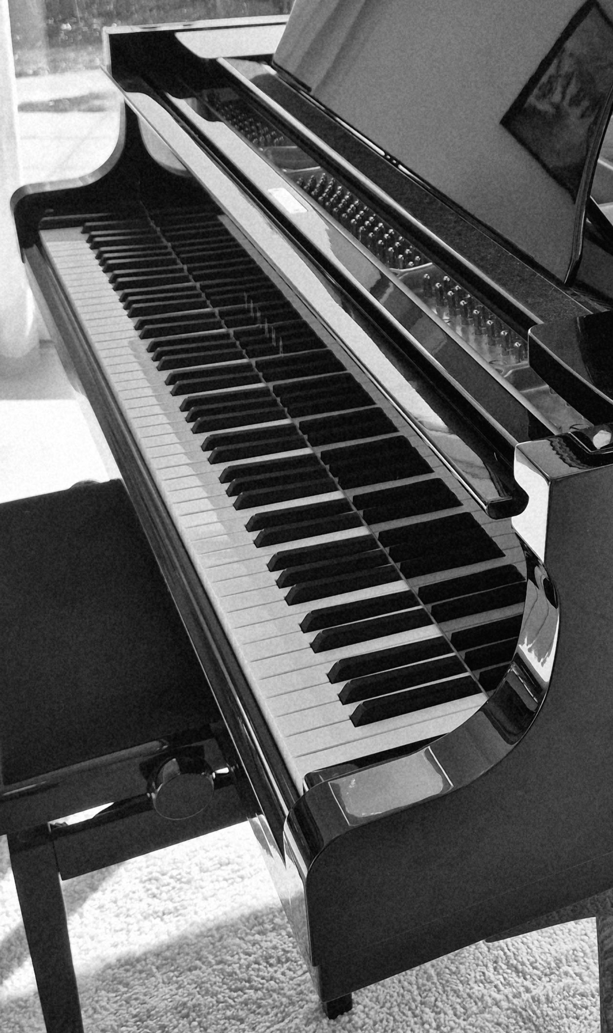 Piano à queue vue latérale — cours de piano Haute-Savoie